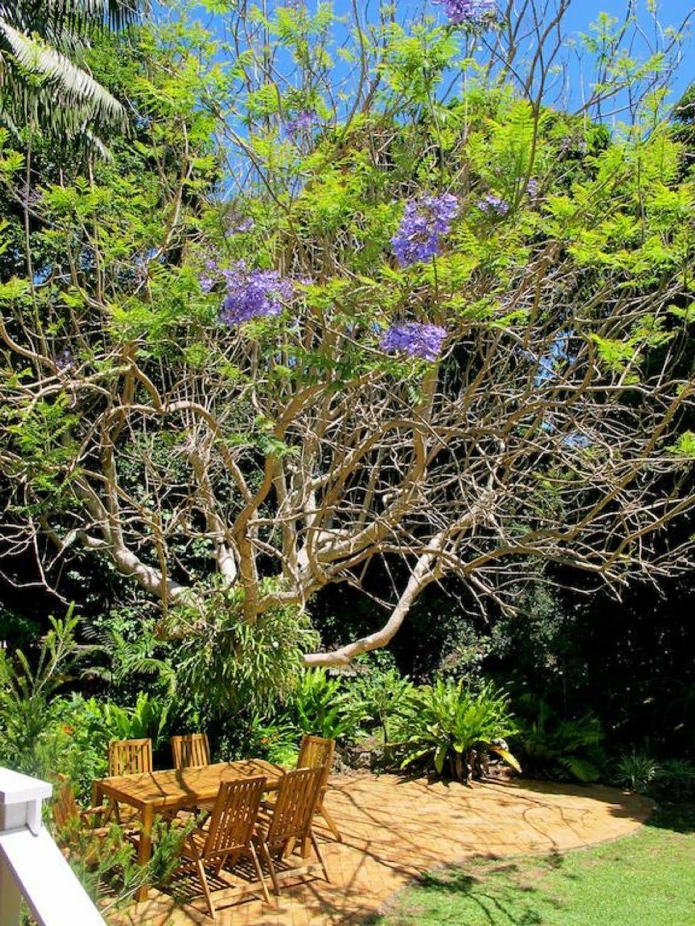 Beachcomber Lodge Lord Howe Island Экстерьер фото